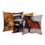 Set of 3 Cotton Multi Color Cushion Cover